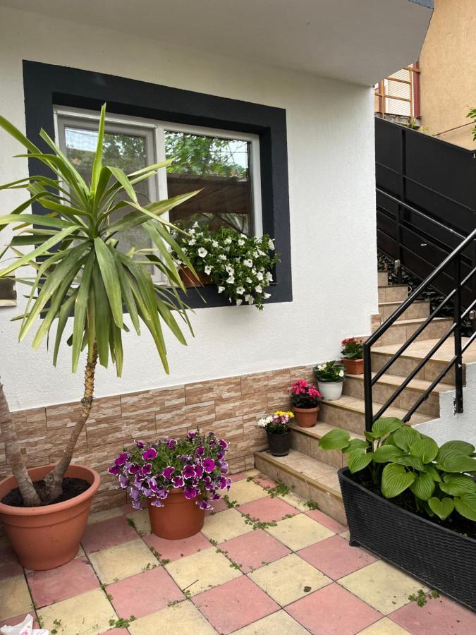 Vila Crinis Eforie Nord Exterior photo